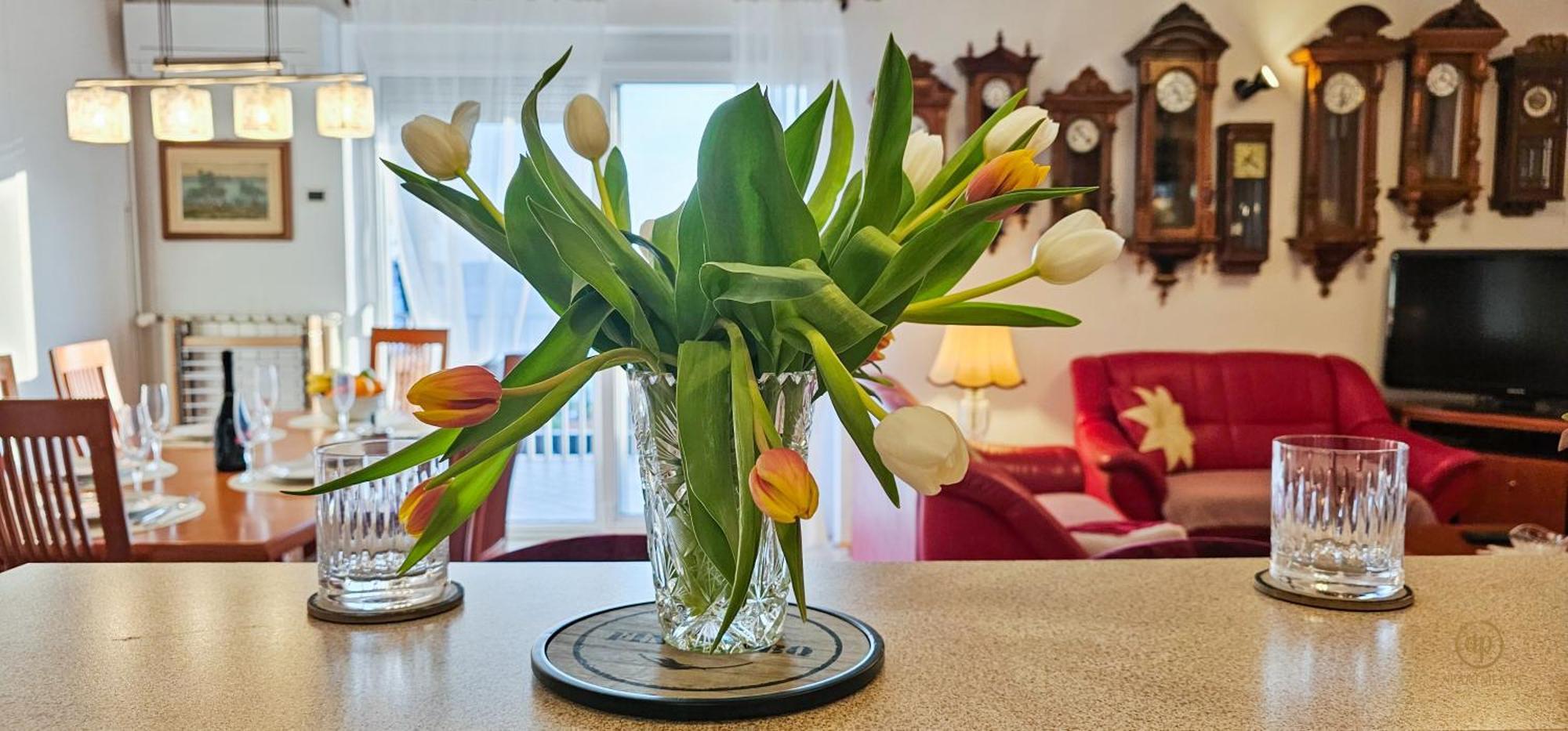 Aria Superior Apartment, Seaview & Wellness Portorož Eksteriør bilde